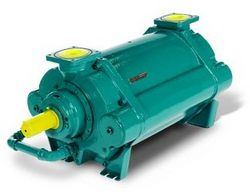 Vacuum Pumps Vacuum Pumps