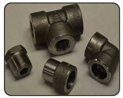  Carbon & Alloy Steel Forged Fittings