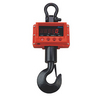 CRANE WEIGHING SCALE