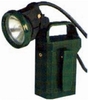 EXPLOSION PROOF WORKING LAMP