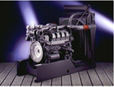 Industrial & Marine Diesel Engine Overhauling