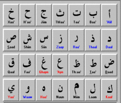 Arabic for Non Native Speakers - Adults 