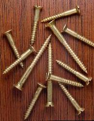 Brass Wood Screws from JAYVEER STEEL