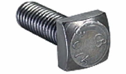 Square Head Bolts from JAYVEER STEEL