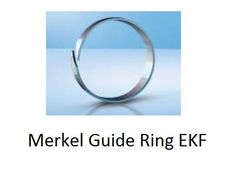 Merkel Guide Ring EKF from SPECTRUM HYDRAULICS TRADING FZC