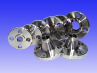 SS 316L Flanges