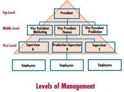 Introduction to Management  from ENGLISH PLUS LANGUAGE & TRAINING CENTRE - L.L.C