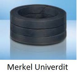 Merkel Univerdit