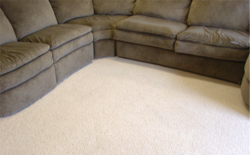 Upholstery Dustmite Cleaning Services