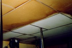 Ceiling/wall Cleaning
