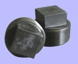 Forged Square Plug from ARIHANT STEEL CENTRE