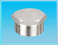 HEX PLUG(HP)  from SANJAY BONNY FORGE PVT. LTD.