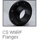S.S.WNRF Flanges