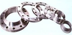 Stainless Steel 304L Forged Flanges