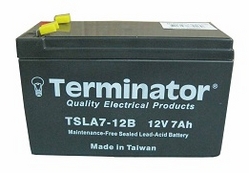 Sealed Lead Acid Maintenance Free Batteries 