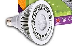 FULHAM LED LAMPS SUPPLIERS IN UAE