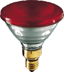 Infrared Lamps Suppliers In Uae