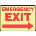 Accuform Signs Emergency Exit Arrow Right In Uae