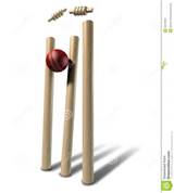 Cricket Wicket Stemps