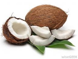 Coconuts And Coconut Related From India