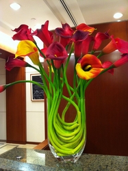 Office Flowers Dubai