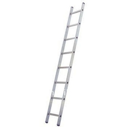 Single Pole Ladder