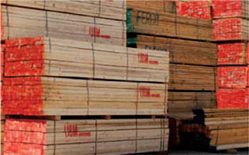 Construction Grade Timber Companies In Uae