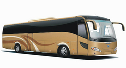 Dubai City Tour By Bus