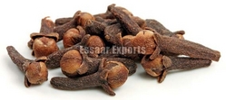 More About Cloves