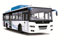 School Students Transfer By Bus In Uae