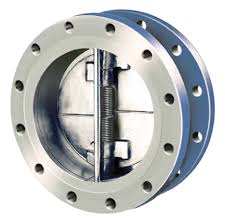 Check valve suppliers in UAE from EMIRATES POWER-WATER SERVICES