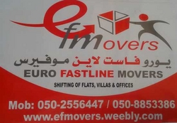 PROFESSIONAL HOUSE MOVERS PACKERS