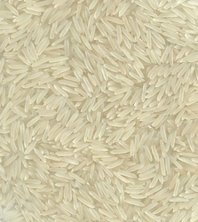 1121 Sella Basmati Rice Suppliers