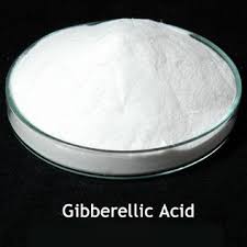 Gibberellic Acid from AVI-CHEM