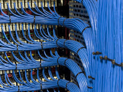 Structured Cabling from WORLD WIDE DISTRIBUTION FZE