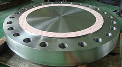 Stainless Steel 317 Flanges