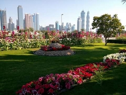Garden Maintenance In Dubai