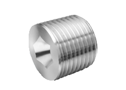 HOLLOW HEX PLUGS - NPT from M.P. JAIN TUBING SOLUTIONS LLP