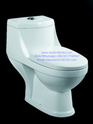Washdown One-piece Toilet T803
