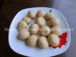 Canned Mushroom Whole & Pns From China Good Price