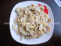 canned mushroom pns china factory supplier