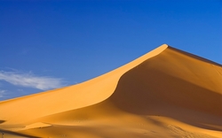 Dune Sand Supplier In Dubai