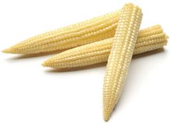 Baby Corn 