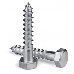 Stainless Steel Lag Bolts