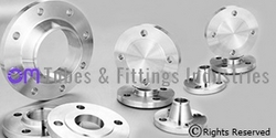 254 SMO FLANGES