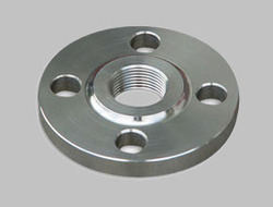 Stainless Steel 317 Flanges from STEEL FAB INDIA