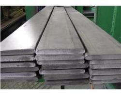 Stainless Steel 304N Flat