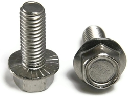 Hexagon Flange Bolts from HITANSHI METAL