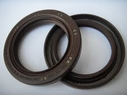 Rotary Shaft Rubber Seals in UAE