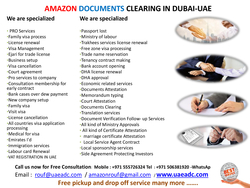 New Company Registrations In Dubai